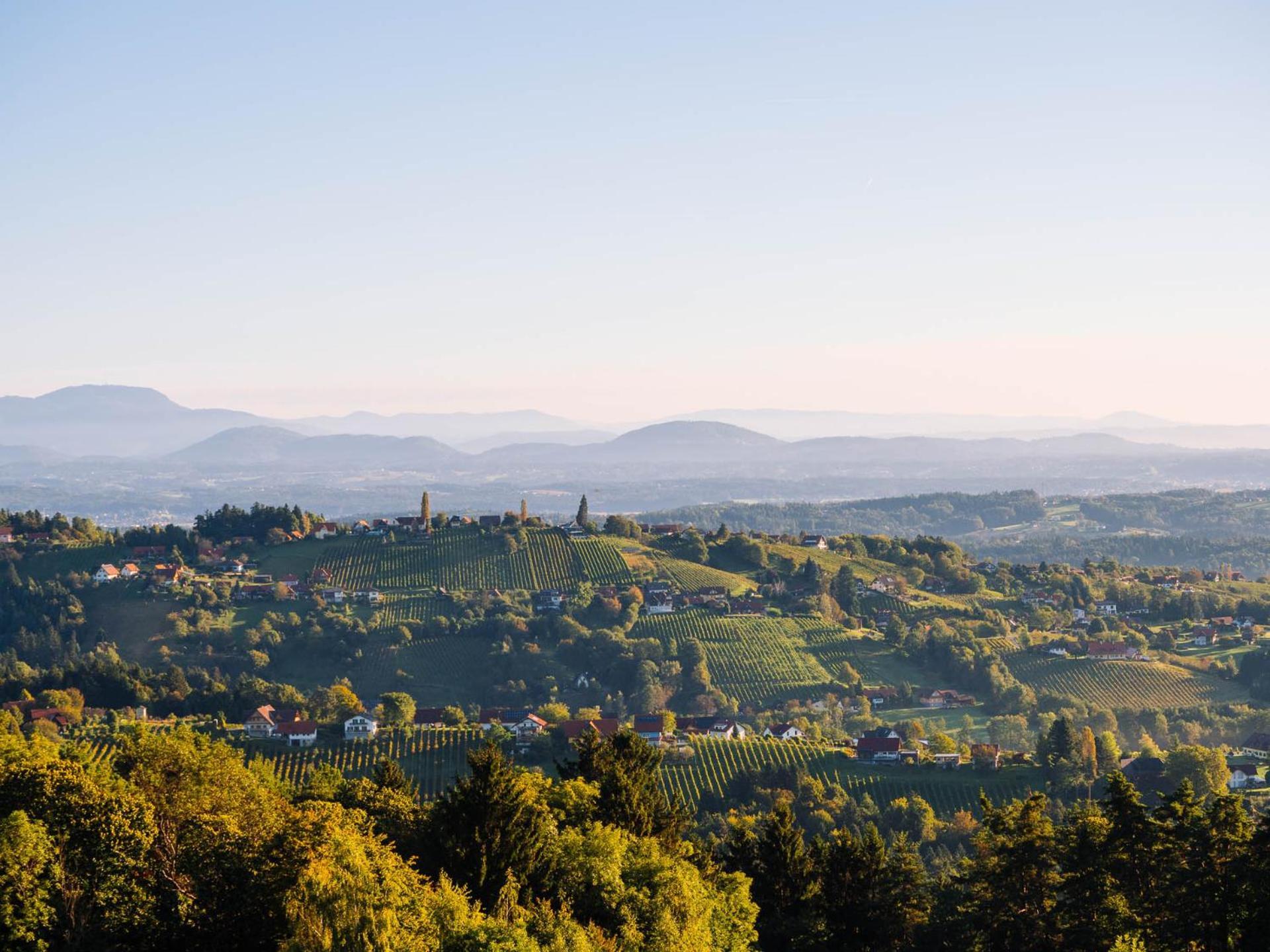 Schilcherlandleben - Hochgrail Greisdorf Exterior foto